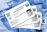 Νέες, – Νέες,nees, – nees