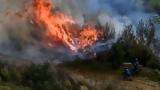 Μεσολόγγι, Φωτιά, Πλατυγιάλι Αστακού,mesolongi, fotia, platygiali astakou