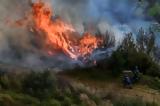 Μεσολόγγι, Φωτιά, Πλατυγιάλι Αστακού,mesolongi, fotia, platygiali astakou