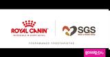 Royal Canin Hellas, “Save,Greek Stray”