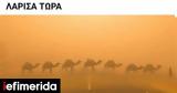 Ψήθηκε, Λάρισα, Twitter,psithike, larisa, Twitter