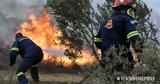 Μάχη, Νάξο Λάρισα Λακωνία,machi, naxo larisa lakonia