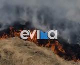 Φωτιά, Εύβοια, Περιοχή Πανόραμα,fotia, evvoia, periochi panorama