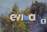 Φωτιά, Εύβοια, Κοντά,fotia, evvoia, konta