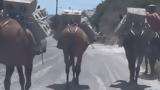 Σαντορίνη, Μουλάρια, – Καταγγελίες, Video,santorini, moularia, – katangelies, Video