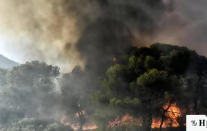 Πυρκαγιά, Καλλιθέα Λουτρακίου - Επιχειρούν, pyrkagia, kallithea loutrakiou - epicheiroun