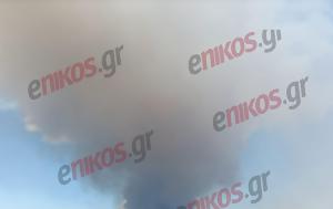 Φωτιά, Λουτράκι, Μήνυμα, 112, -ΦΩΤΟ, fotia, loutraki, minyma, 112, -foto