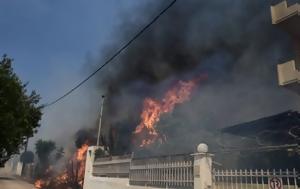Φωτιά, Κουβαρά, Καίγονται, Ανάβυσσο, fotia, kouvara, kaigontai, anavysso