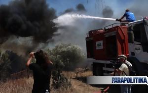 Φωτιά, Κουβαρά, Μέσα, Δημοτικού Συμβουλίου, fotia, kouvara, mesa, dimotikou symvouliou