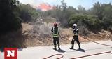 Αποκαταστάθηκε, Ανάβυσσο, Λαγονήσι,apokatastathike, anavysso, lagonisi