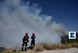 Νέο, 112, Πουρνάρι Αγία Σωτήρα Πανόραμα, Παλαιοχώρα,neo, 112, pournari agia sotira panorama, palaiochora