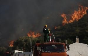 Μεσσηνία, Πυρκαγιά, Χρυσοκελλαριά, Δήμου Πύλου–Νέστορος, messinia, pyrkagia, chrysokellaria, dimou pylou–nestoros