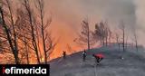 Φωτιά, Ρόδο, Εκκενώνεται, Απόλλωνας,fotia, rodo, ekkenonetai, apollonas