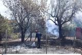 Αποζημιώσεις,apozimioseis