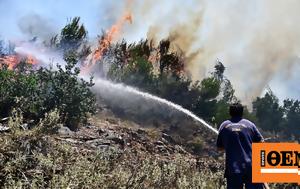 Βελτιωμένη, Αττική Λακωνία, Ρόδο - Κίνδυνος, veltiomeni, attiki lakonia, rodo - kindynos