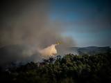 Ρόδο Δυτική Αττική, Λακωνία -Τρεις, Κρήτη,rodo dytiki attiki, lakonia -treis, kriti