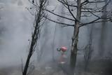 Τα 13 μέτρα στήριξης των πυρόπληλτων,