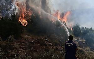 Φωτιά, Βόλβη Θεσσαλονίκης, fotia, volvi thessalonikis
