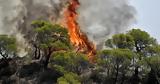 Η κλιματική κρίση δεν είναι άλλοθι επικίνδυνων πολιτικών,