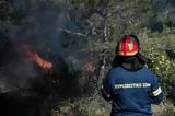 Θεσσαλονίκη, Φωτιά, Σοχό – Επί, Πυροσβεστικής,thessaloniki, fotia, socho – epi, pyrosvestikis