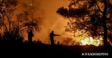 Φωτιές, Πύρινη, Κέρκυρα, Ρόδο –,foties, pyrini, kerkyra, rodo –