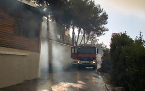 Μαίνονται, Ρόδο Κέρκυρα Αίγιο, Κάρυστο – Νέες, mainontai, rodo kerkyra aigio, karysto – nees