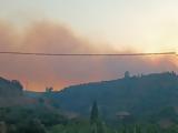 Μεσσηνία, Προφυλακίστηκε, 30χρονος,messinia, profylakistike, 30chronos