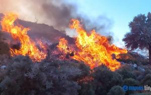 Φωτιά, Εύβοια, Νέος, Πυροσβεστική – Πύρινο, Κοντοδεσπότι, fotia, evvoia, neos, pyrosvestiki – pyrino, kontodespoti