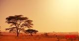 Κλιματική Αλλαγή, Αφρική,klimatiki allagi, afriki