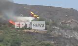 Κάρυστος, Έπεσε Canadair, - Πλάνα,karystos, epese Canadair, - plana