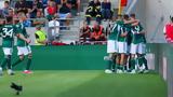 Ντνίπρο – Παναθηναϊκός 1-3, Χουάνκαρ,ntnipro – panathinaikos 1-3, chouankar