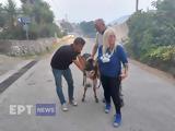 Φωτιά, Κέρκυρα, Εθελοντές, Λόυτσες,fotia, kerkyra, ethelontes, loytses