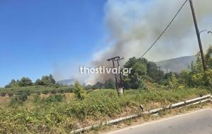 Χαλκιδική, Φωτιά, Νικήτη –, chalkidiki, fotia, nikiti –