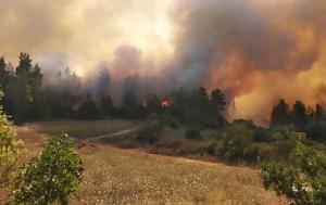 Φωτιά ΤΩΡΑ, Αιτωλοακαρνανία, fotia tora, aitoloakarnania