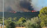 Συνελήφθη, Παλαιοχώρι Μάνδρας,synelifthi, palaiochori mandras