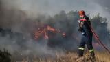 Καλύτερη, Ρόδο Λαμία Κέρκυρα, Κάρυστο,kalyteri, rodo lamia kerkyra, karysto