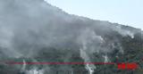 Φωτιά, Κέρκυρα, Συνεχείς, - Επιχειρούν,fotia, kerkyra, synecheis, - epicheiroun