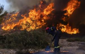 Φωτιά, Μεσσηνία - Σηκώθηκαν, fotia, messinia - sikothikan