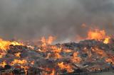 Πυρκαγιά, Μαψός Κορινθίας,pyrkagia, mapsos korinthias