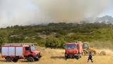 Ιωάννινα, Συνελήφθη 57χρονος, Τζουμέρκα,ioannina, synelifthi 57chronos, tzoumerka