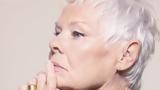 Judi Dench, Χάνει, – Έκανε,Judi Dench, chanei, – ekane