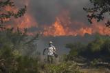 «Να δώσουμε βάρος στην πρόληψη για να μην ξανακαεί η χώρα μας» – Τι λέει ειδικός για τα δάση και τις πυρκαγιές,