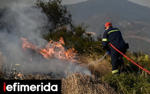 Πρέβεζα, Φωτιά, Δρυόφυτο, -Σηκώθηκαν, preveza, fotia, dryofyto, -sikothikan