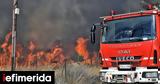 Φωτιά, Κέρκυρα -Ξέσπασε, Πυροσβεστική,fotia, kerkyra -xespase, pyrosvestiki