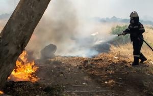 Υψηλός, Θεσσαλονίκη, Χαλκιδική-Απαγόρευση, Κασσάνδρα Σιθωνία Αριστοτέλη, ypsilos, thessaloniki, chalkidiki-apagorefsi, kassandra sithonia aristoteli