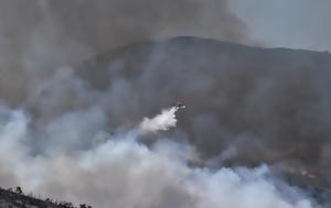 Σύλληψη, Καταλαγάρι, syllipsi, katalagari