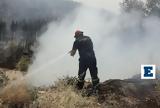 Φωτιά, Δεβελίκι Χαλκιδικής - Ισχυρές,fotia, develiki chalkidikis - ischyres