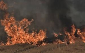 Πυρόπληκτοι, Μέχρι, Τετάρτη, pyropliktoi, mechri, tetarti