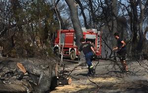 Πυρκαγιά, Δήμου Στυρέων, Εύβοια, pyrkagia, dimou styreon, evvoia