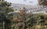 Θεσσαλονίκη, Σέιχ Σου – Φυτεύονται, 700,thessaloniki, seich sou – fytevontai, 700